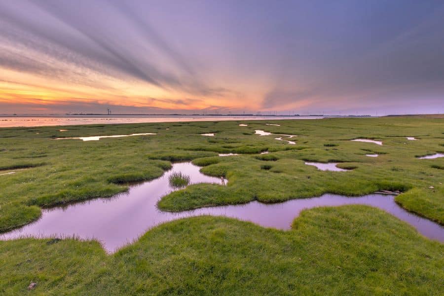 China Sukses Sulap Lahan Bekas Tambang Batu Bara Jadi Sawah!