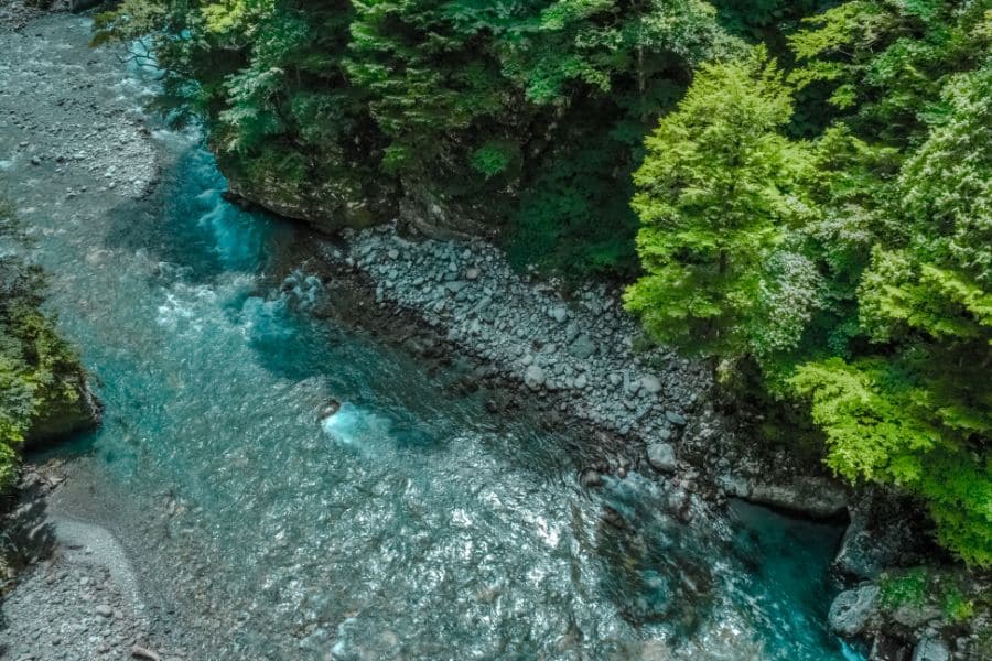 contoh hutan lindung